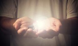 Suspendisse arcu nisl